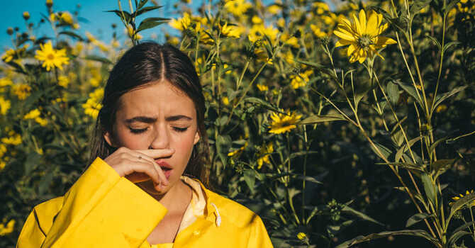 Spring has Sprung!    Acupuncture and Seasonal Allergies image